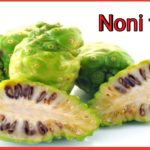 Noni fruit, juice,benefit in hindi,क्या फायदे, tree,plants,for diabetes