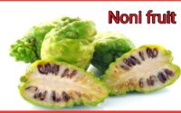 Noni fruit, juice,benefit in hindi,क्या फायदे, tree,plants,for diabetes