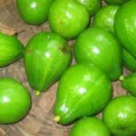 Avocado for Skin स्किन के लिए एवोकाडो के 3 अचूक फायदे आप ने नहीं जाने होंगे