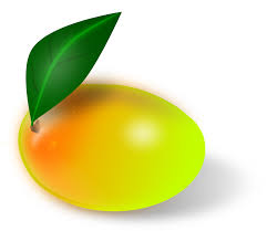 Mango Benefits Eating in Hindi आम खाने के इन फायदों को आप नहीं जानते होंगे