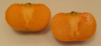 Persimmon Fruits Benefits in Hindi,Eating,तेंदू (परसीमन) फल के गुणकारी लाभ 