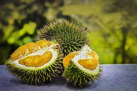 Durian Benefits Eating in Hindi डूरियन फल दे खुशी बदबू नाक में दम कर दे 