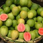 Guava benefits in hindi अमरूद इन दिनों में खाओगे तो ज्यादा फायदा होगा