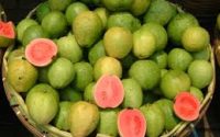 Guava benefits in hindi अमरूद इन दिनों में खाओगे तो ज्यादा फायदा होगा