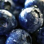 Blueberry benefits eating in hindi ब्लूबेरी के इन फायदों को आपने नहीं जाना होगा