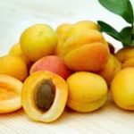 Apricot Benefits in hindi एप्रीकॉट के 21 सफलता चक्र जो आपको रखे स्वस्थ