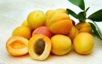 Apricot Benefits in hindi एप्रीकॉट के 21 सफलता चक्र जो आपको रखे स्वस्थ