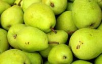 Benefits of eating pears नाशपाती खाने से इन बीमारियों से रहोगे हमेशा दूर