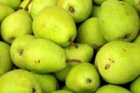 Benefits of eating pears नाशपाती खाने से इन बीमारियों से रहोगे हमेशा दूर